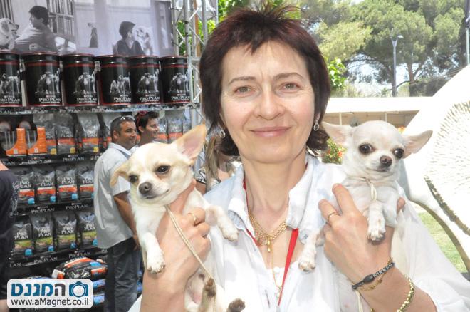 תמונה גדולה